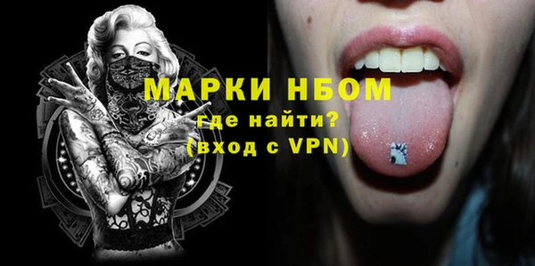 шишки Верхний Тагил