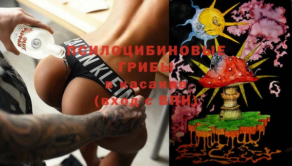 спиды Володарск