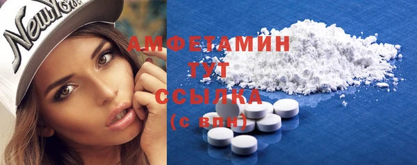 шишки Верхний Тагил